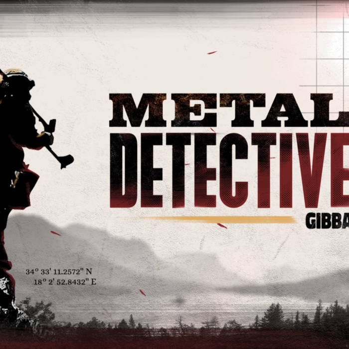 Metal Detective